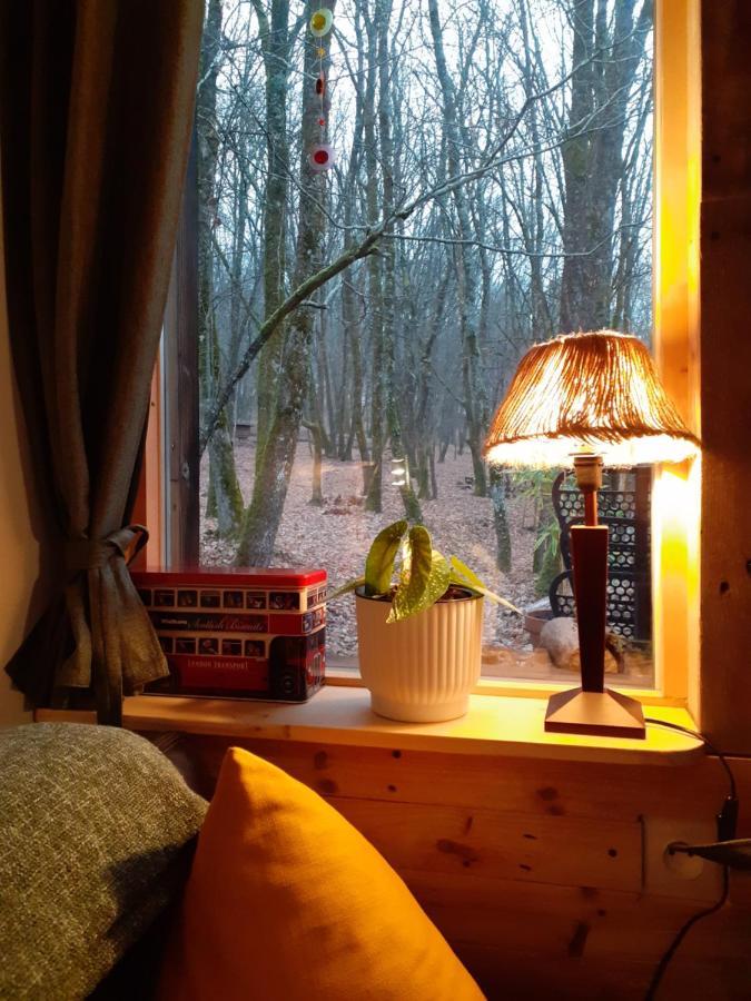 Le Gite De La Cabane De L'Oiseau Couze-et-Saint-Front Экстерьер фото