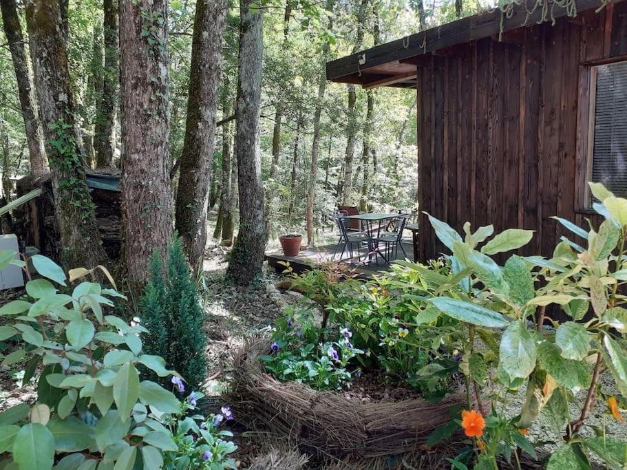 Le Gite De La Cabane De L'Oiseau Couze-et-Saint-Front Экстерьер фото