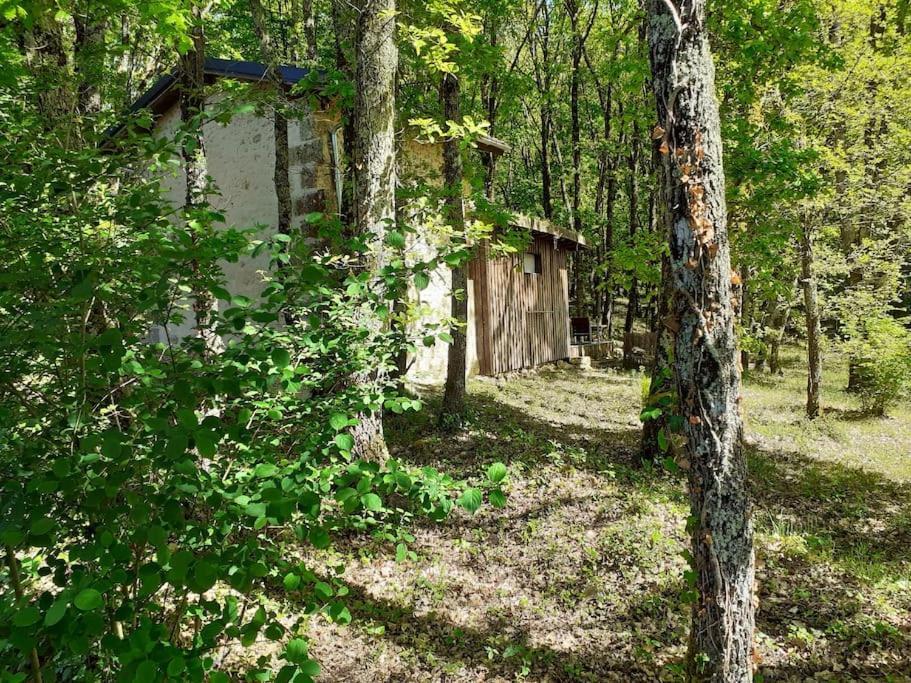 Le Gite De La Cabane De L'Oiseau Couze-et-Saint-Front Экстерьер фото